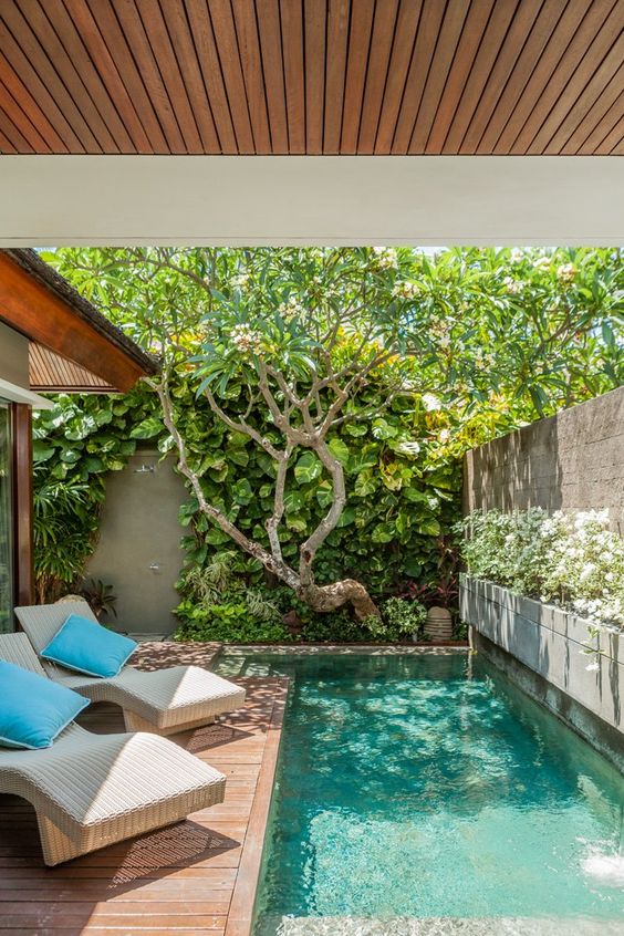 a tiny and lovely backyard with a wooden deck and a small pool, some greenery and trees, loungers with pillows