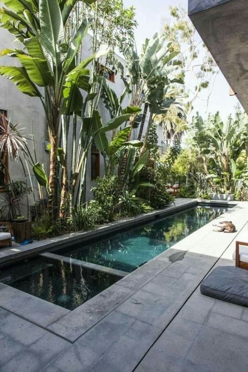a tropical outdoor nook with a lot of trees and bushes, a deck clad with tiles, a long and narrow pool and lots of pillows