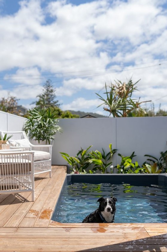a wooden deck, a plunge pool, some chairs and a table and some greenery compose a laconic and modern space