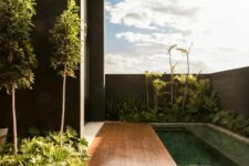 an outdoor tropical space with a long and narrow pool and a wooden deck, potted plants around is a lovely and laconic space