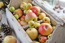 20 a rustic vintage toolbox with apples is a creative and practical display, you may eat them all