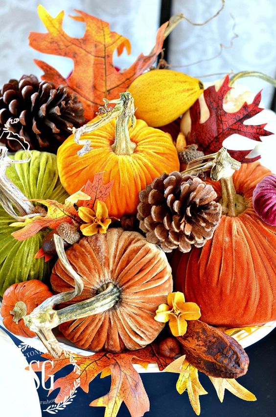 a bright fall arrangement of jewel tone velvet pumpkins, pinecones, fall leaves, blooms and acorns