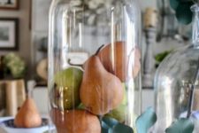 a cloche with fake fruits is an ideal farmhouse display for fall and Thanksgiving, great as a centerpiece