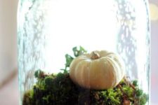 a green cloche with a bowl filled with moss and a fake pumpkin for a fresh touch on your table or mantel