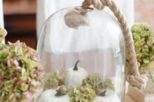 a neutral rustic cloche display with fake pumpkins, hydrangeas, acorns and pinecones and thick rope