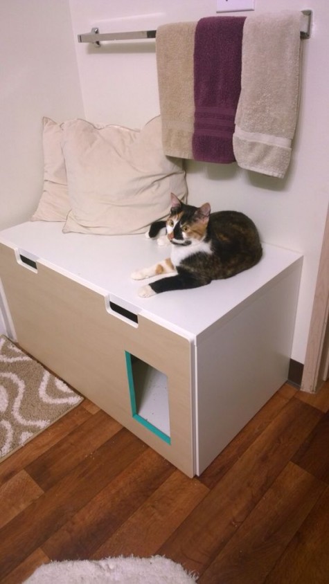 a Stuva storage bench with a cat litter box inside   make a cut and place some pillows up for your cat to lie there