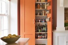 29 a bright kitchen larder cupboard used for food storage is a cool colorful accent