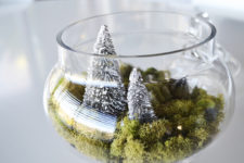 DIY winter terrarium with living moss and bottlebrush trees