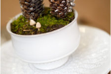 DIY natural winter terrarium with moss and pinecones