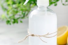 DIY disinfectant spray with vinegar and vodka