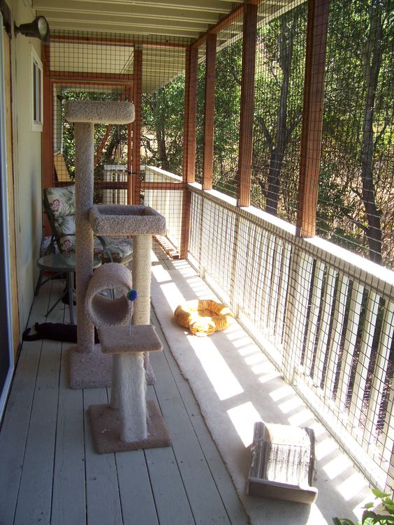 a cat enclosure porch with a cool cat tree, some beds and some more furniture for the cat to lie on