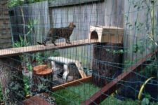 15 a handmade cat enclosure with wooden shelves, beams, boxes, tree stumps and green grass below