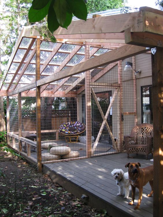 a large cat enclosure with floor cushions, a comfy round chair and a large bench for cats and people to stay in