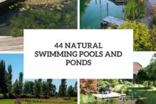 44 natural swimming ponds and pools cover