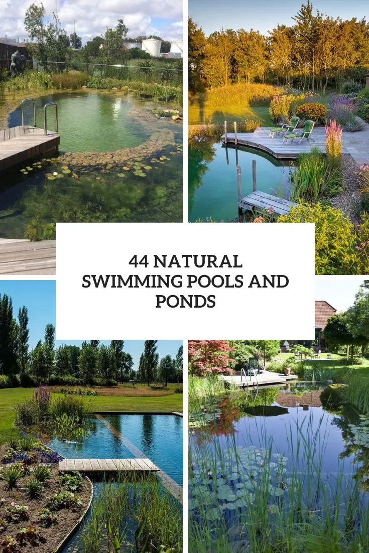 44 Natural Swimming Ponds And Pools