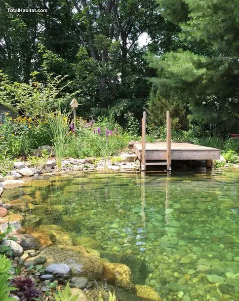 a beautiful and all natural swimming pond with rocks inside, a rock border and a wooden deck plus a ladder