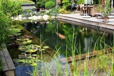 a beautiful and natural swimming pond with water plants and a bit of wood to line up the pool, with a wooden deck