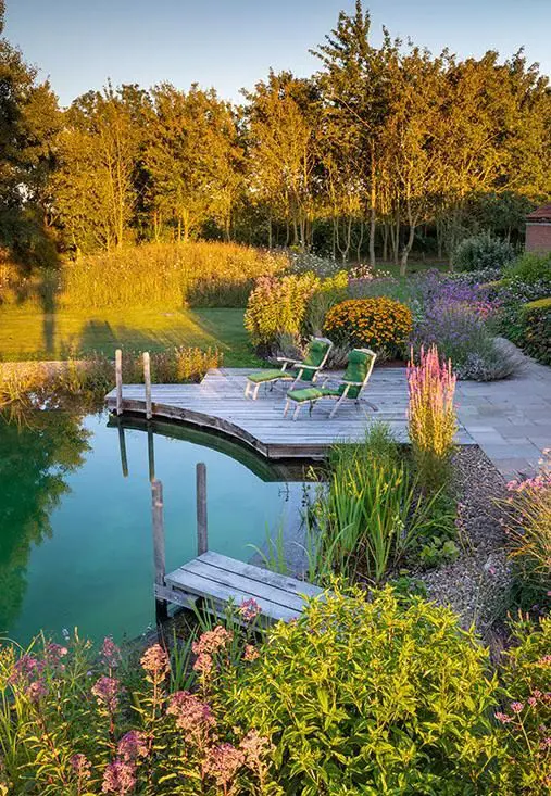 a beautiful outdoor space with greenery, blooms and a manicured lawn, with a natural swimming pond and a wooden deck