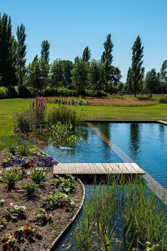 a beautiful swimming pond with a brick border and a wooden deck, plants and blooms around is super chic