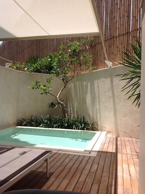 a contemporary backyard with a deck, simple loungers, a tree and a plunge pool   who needs more for happiness