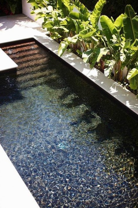 a contemporary outdoor space with a plunge pool clad in white and with tropical greenery planted to line it up