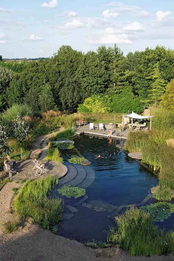 a cool and large swimming pond with brick staps and a wooden deck with outdoor furniture, greenery and water plants