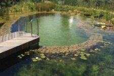 a cool large swimming pond with rocks and water plants that allow self-cleaning easily, plus a wooden deck and a ladder