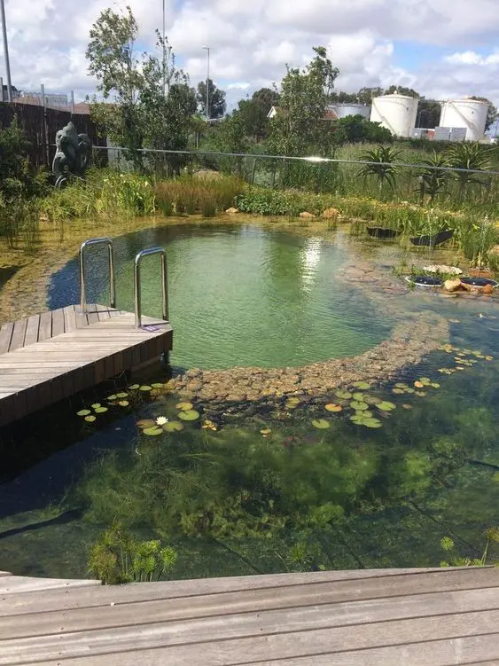 a cool large swimming pond with rocks and water plants that allow self cleaning easily, plus a wooden deck and a ladder
