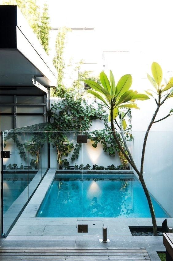 a mini backyard with only a plunge pool enclosed in glass, with some greenery climbing up the wall