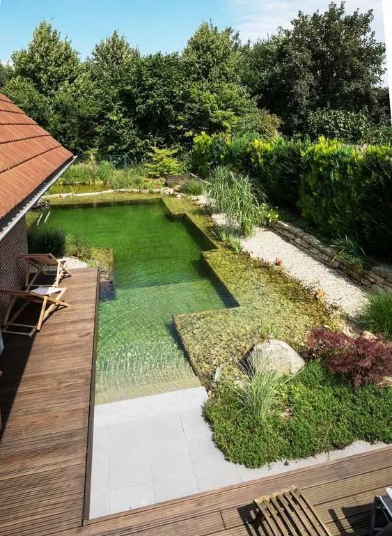 a modern yet natural looking swimming pond with steps and water plants is a cool and chic idea to rock