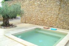 a natural backyard clad with tiles and stones, a plunge pool and some trees planted right in the tiles