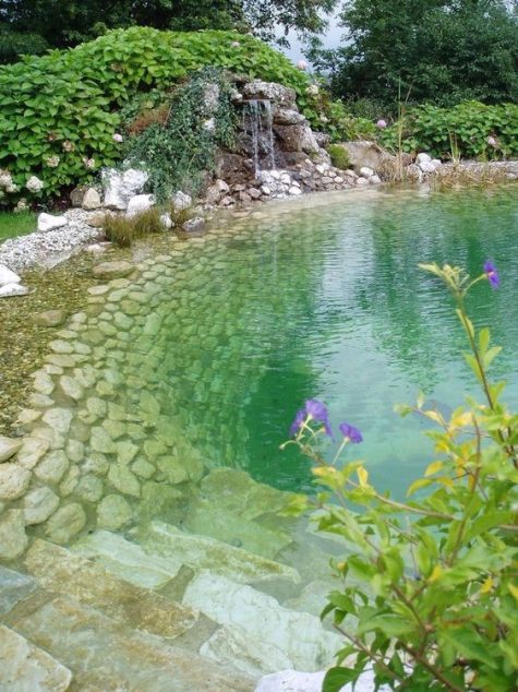 a natural pool done with stone and a small waterfall, with greenery and other plants around