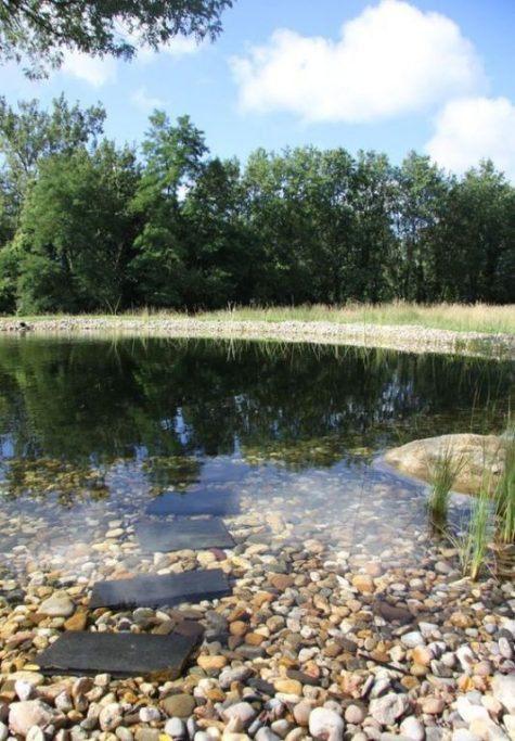 a natural swimming pond done with rocks and pebbles and with greenery around reminds of a real lake
