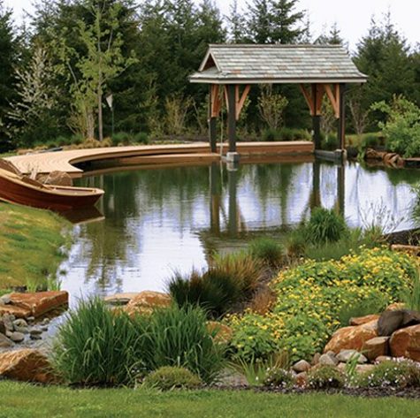 a natural swimming pool with grasses and greenery growing by its side and a wooden deck for comfortable relaxation