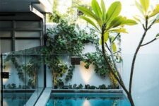a small and minimalist outdoor space with a deck, a plunge pool with a glass fence around, some greenery and lights and a tree