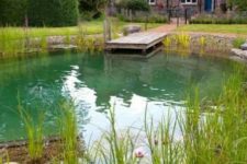 a small natural swimming pool with steps, a small deck and some plants surrounding the water feature