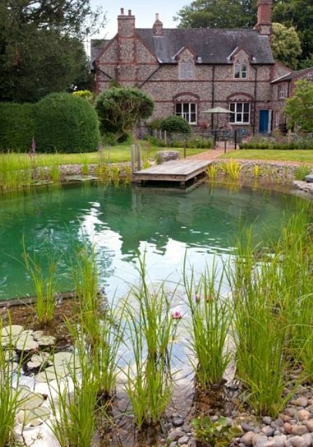 a small natural swimming pool with steps, a small deck and some plants surrounding the water feature