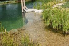 a swimming pond with a rock path and a ladder, surrounded with grasses looks super cool