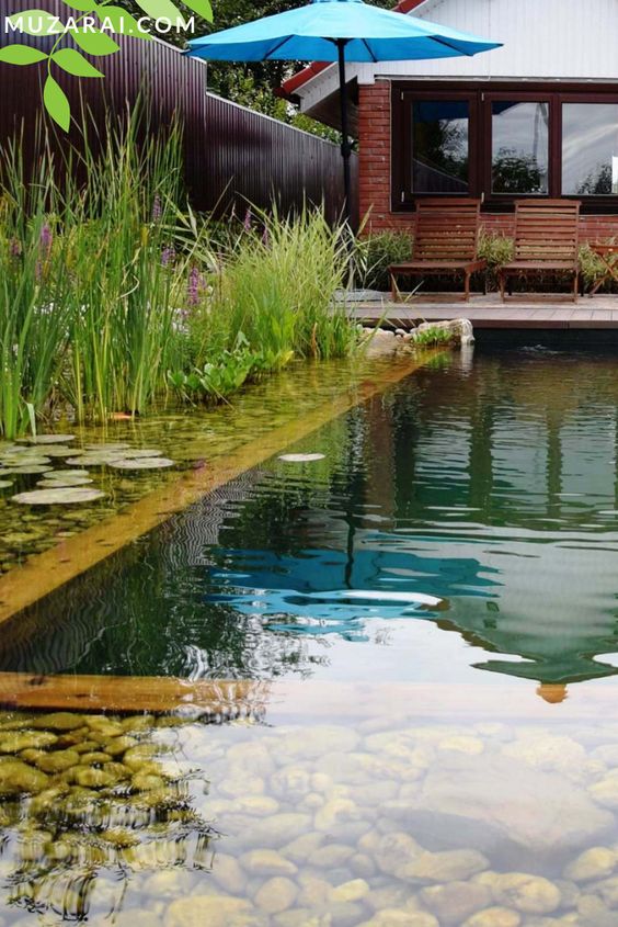 a swimming pond with rocks, various plants and a terrace by its side plus umbrellas is a cool idea and invites to relax here