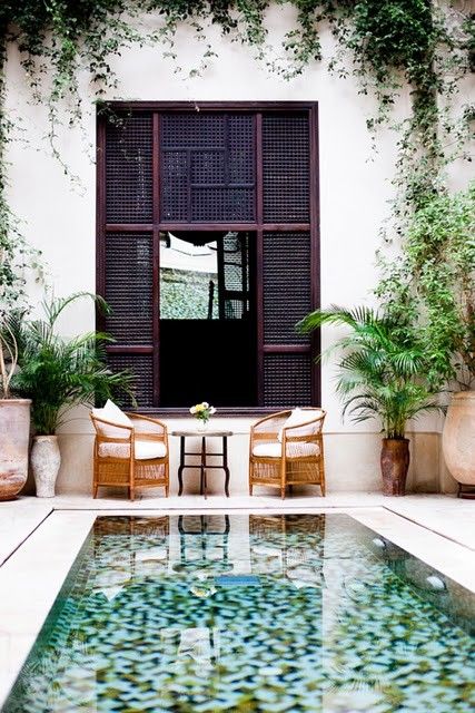 a tropical backyard with rattan chairs, a dark wooden screen, a plunge pool and potted greenery all aroud