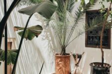 a tropical corner with a plunge pool, some potted plants and some simple furniture is amazing