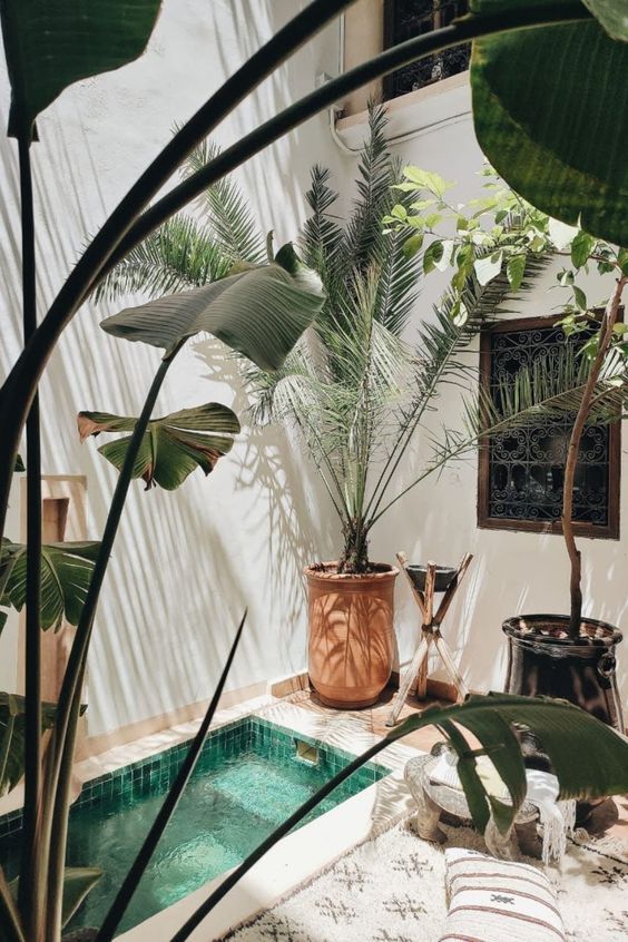 a tropical corner with a plunge pool, some potted plants and some simple furniture is amazing