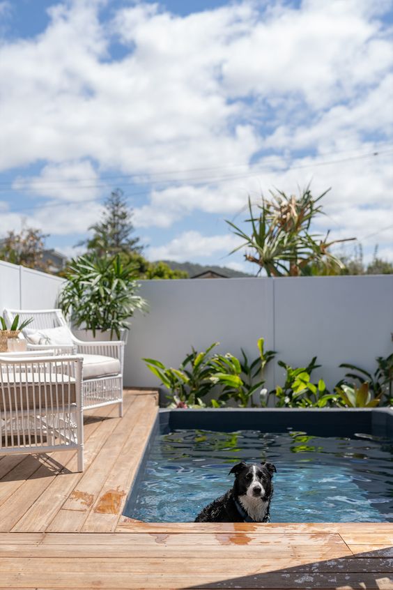 a wooden deck, a plunge pool, some chairs and a table and some greenery compose a laconic and modern space