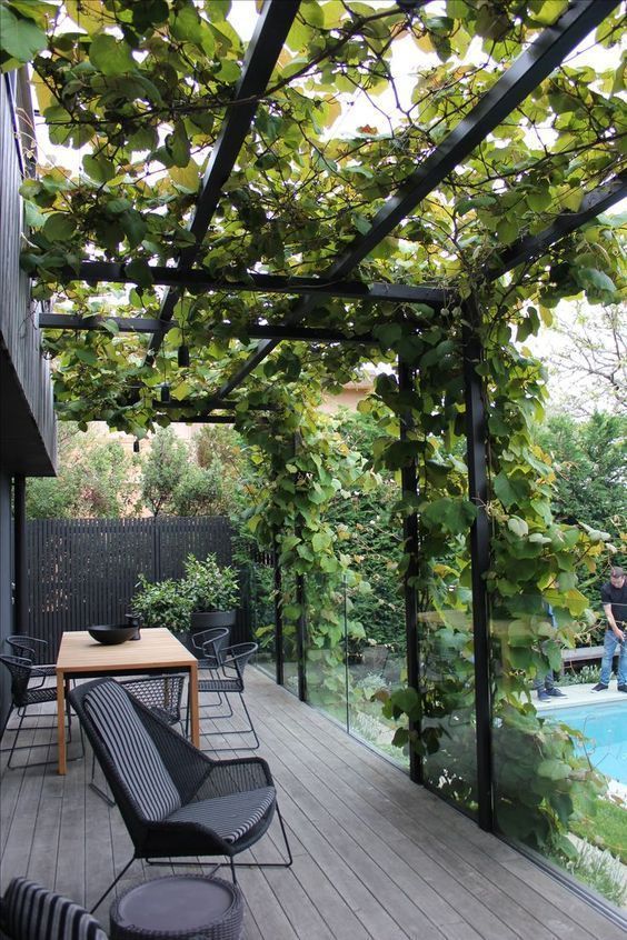 a dark and modern backyard with a wooden dining table, black wicker chairs and greenery over black metal beams