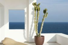 a small minimal terrace with a wicker leaf-shaped lounger, a statement cactus and a gorgeous sea view