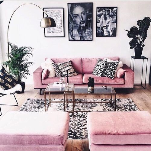 a catchy monochromatic living room with pink furniture and potted plants plus a chic gallery wall