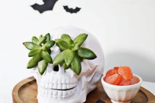 black bats, a skull with succulents instead of eyes for stylish minimalist Halloween decor
