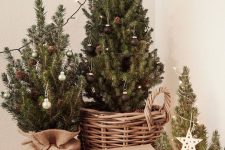 a cluster of tabletop Christmas trees in baskets and burlap, with tiny ornaments and pinecones plus stars