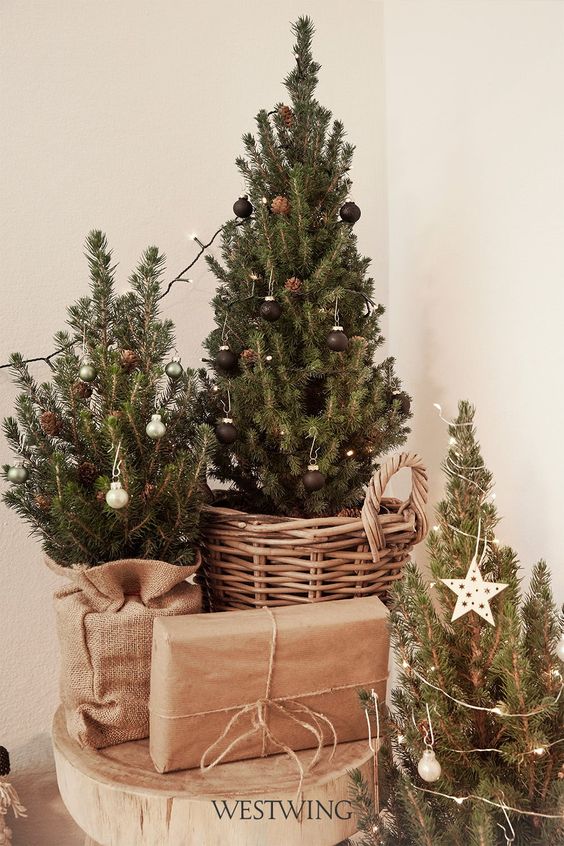 a cluster of tabletop Christmas trees in baskets and burlap, with tiny ornaments and pinecones plus stars