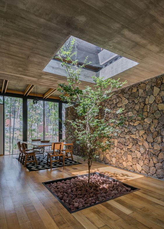 a dining space with a skylight, a tree under it and a stone accent wall to bring naturre inside the house